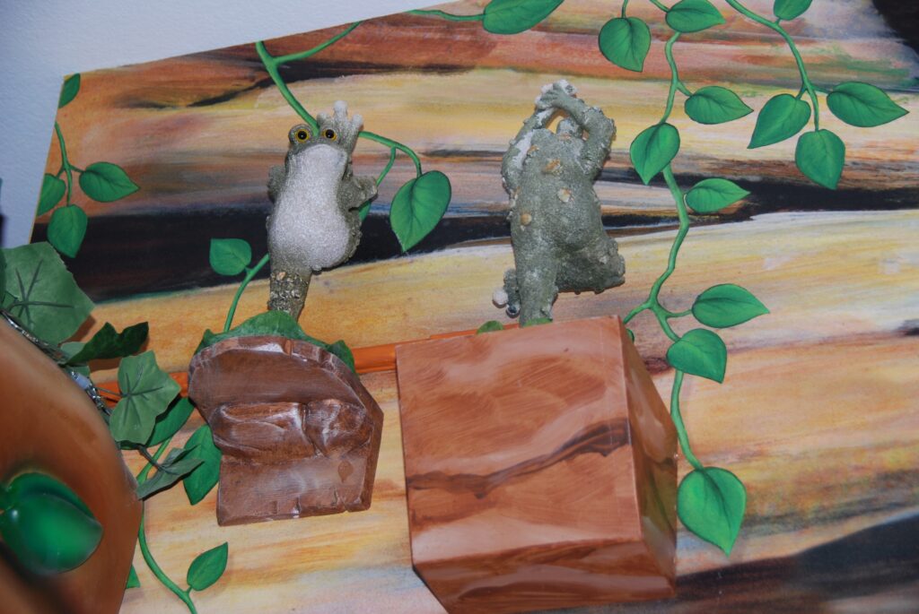 frogs that come to life