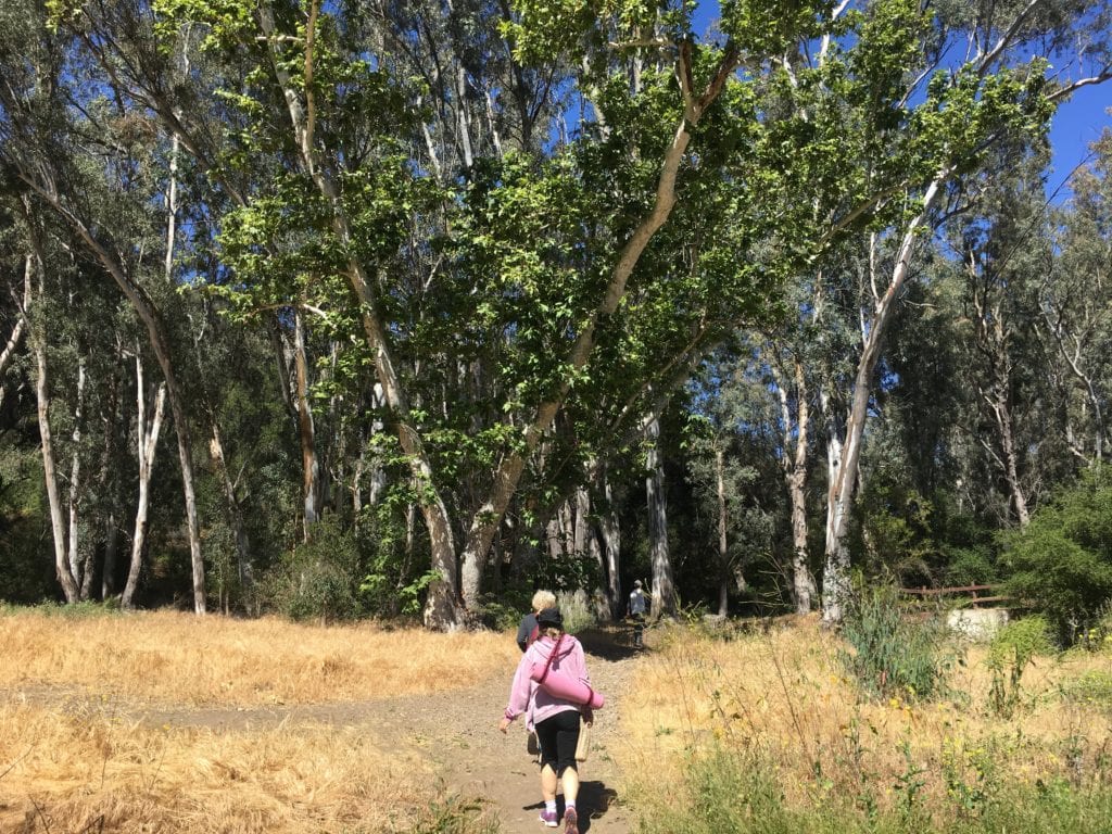 people walking - Free Yoga in the Santa Monica Mountains