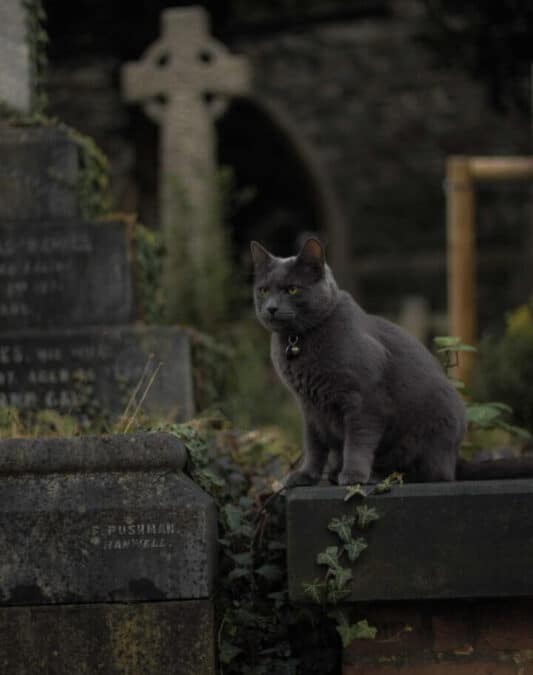 Best Tour With Teens in Baltimore: The Poe Trail