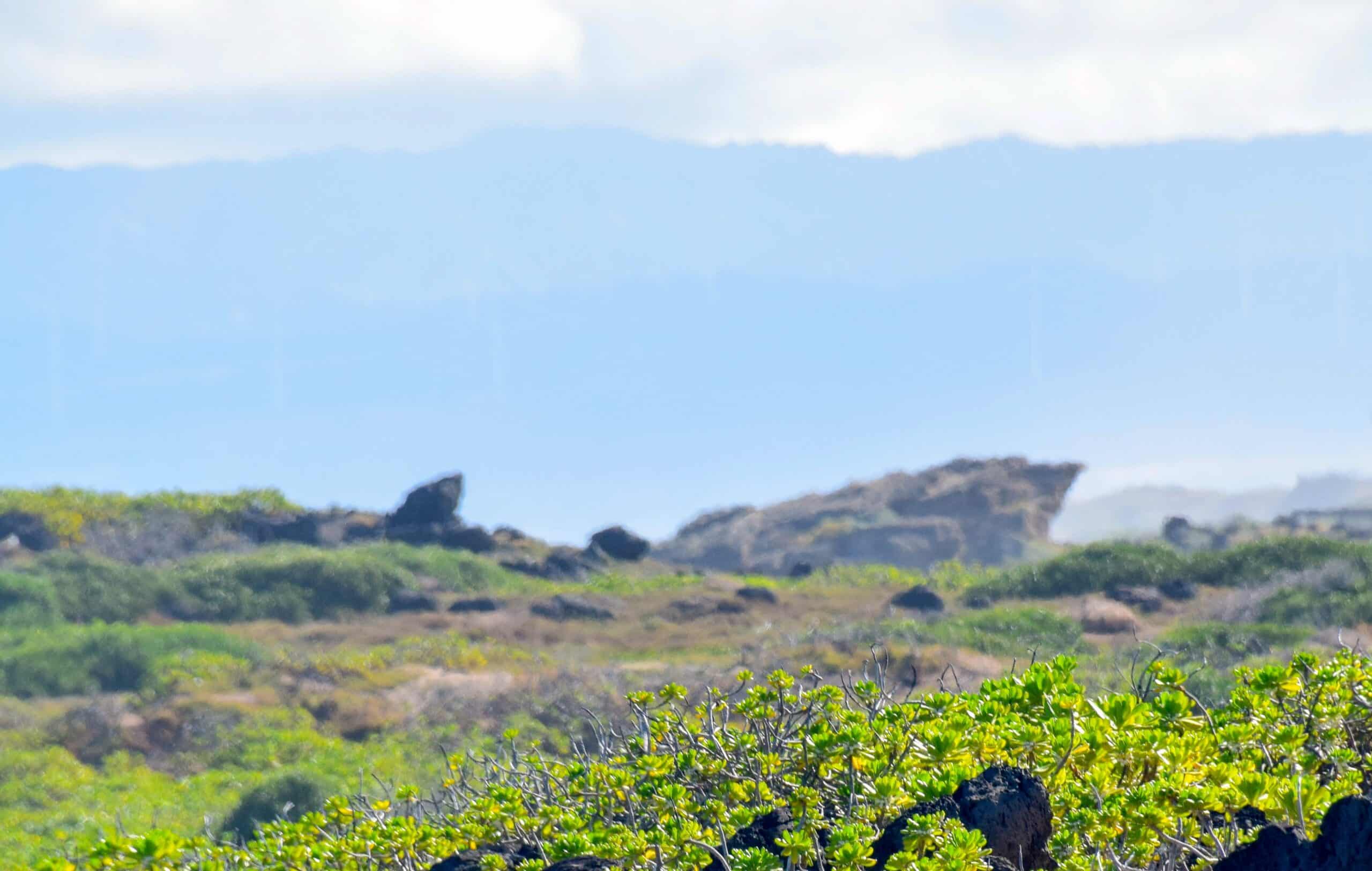 The rock is called Leinakauhane Point, which translates to leaping of the souls.