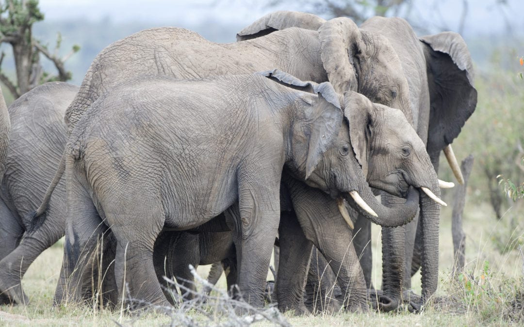 Volunteer Family Vacations Every Member Will Love