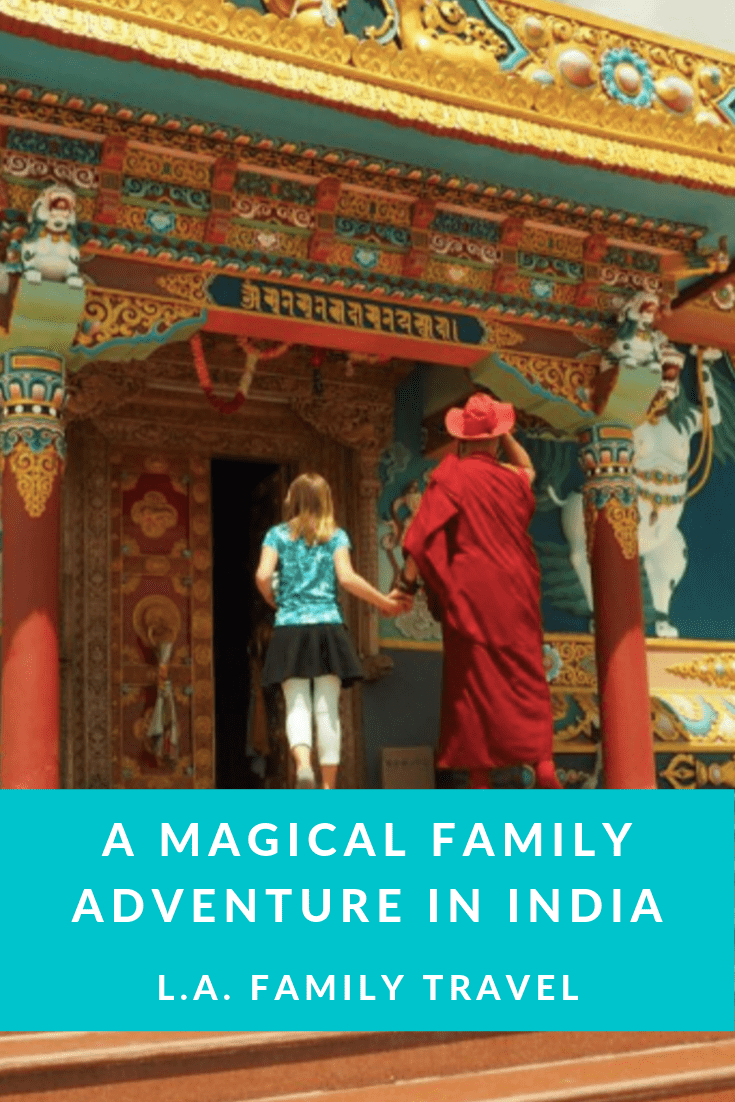 Magical Indian Family Trip Pinterest Pin