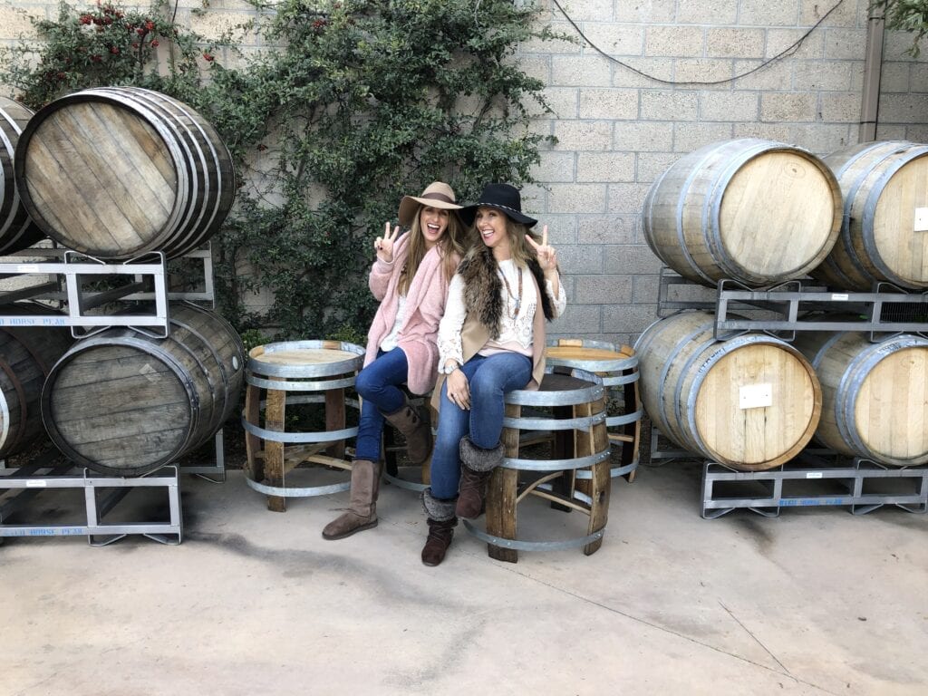 Women wine tasting - Wine Tasting - Discovering Uncharted Vineyards