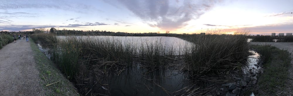 Fun Things To Do In Irvine With Kids