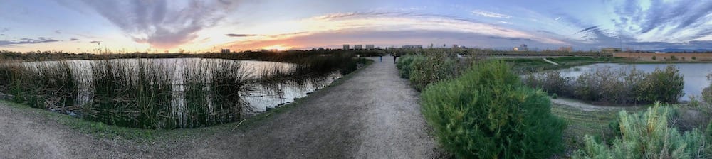 San Joaquin Marsh and Wildlife Sanctuary - best things to do in Irvine with kids