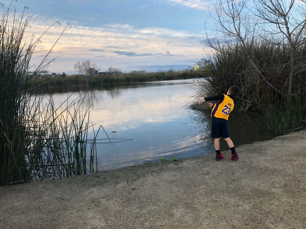 San Joaquin Marsh and Wildlife Sanctuary - best things to do in Irvine with kids