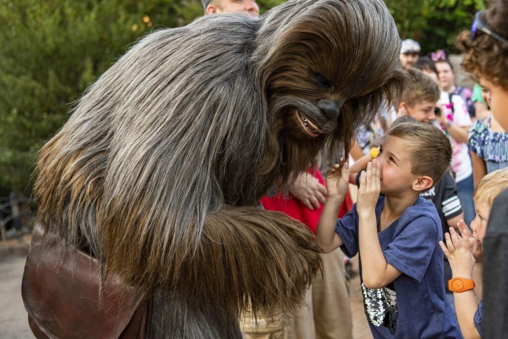 Wookie with a child - Behind the Scenes at Disney: An Invitation to Explore
