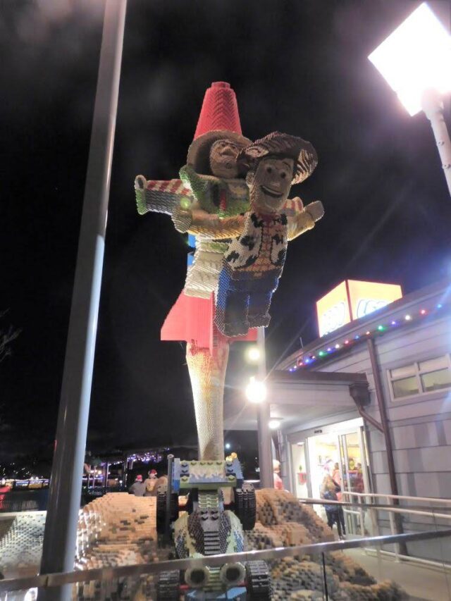 Seeing animals in Florida