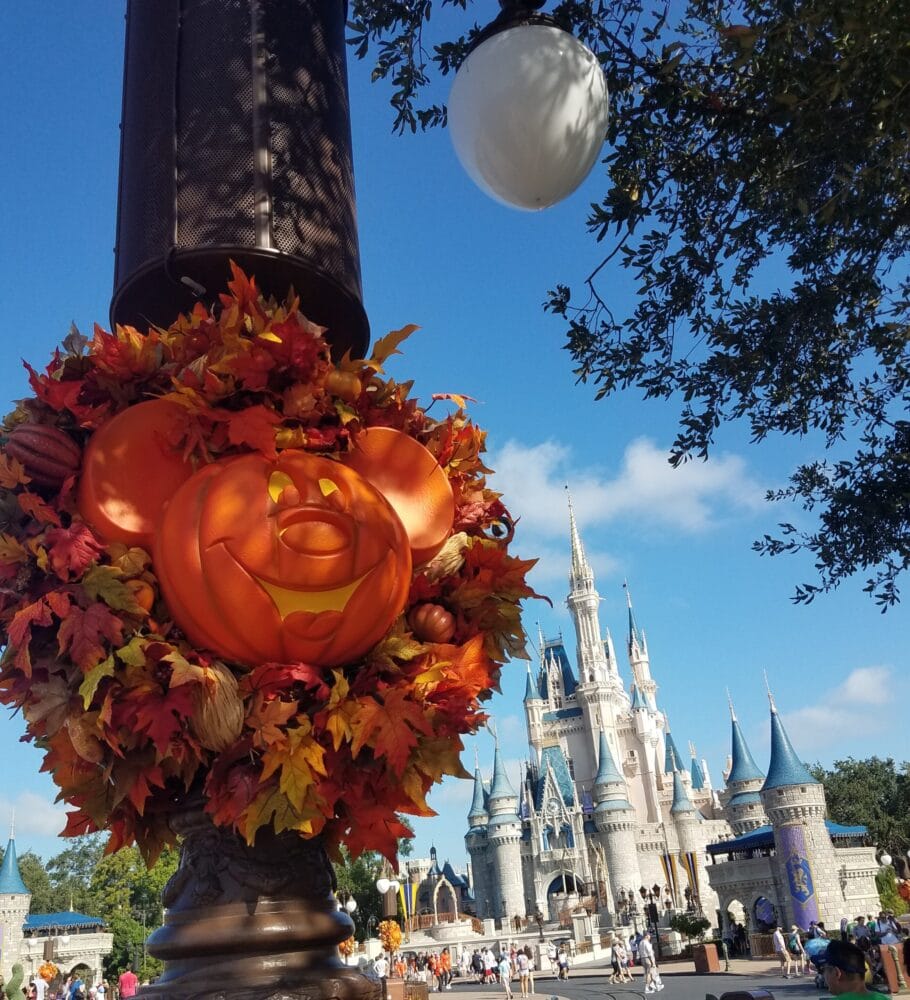 Romance trip to Disneyland and Disney World - disney for adults