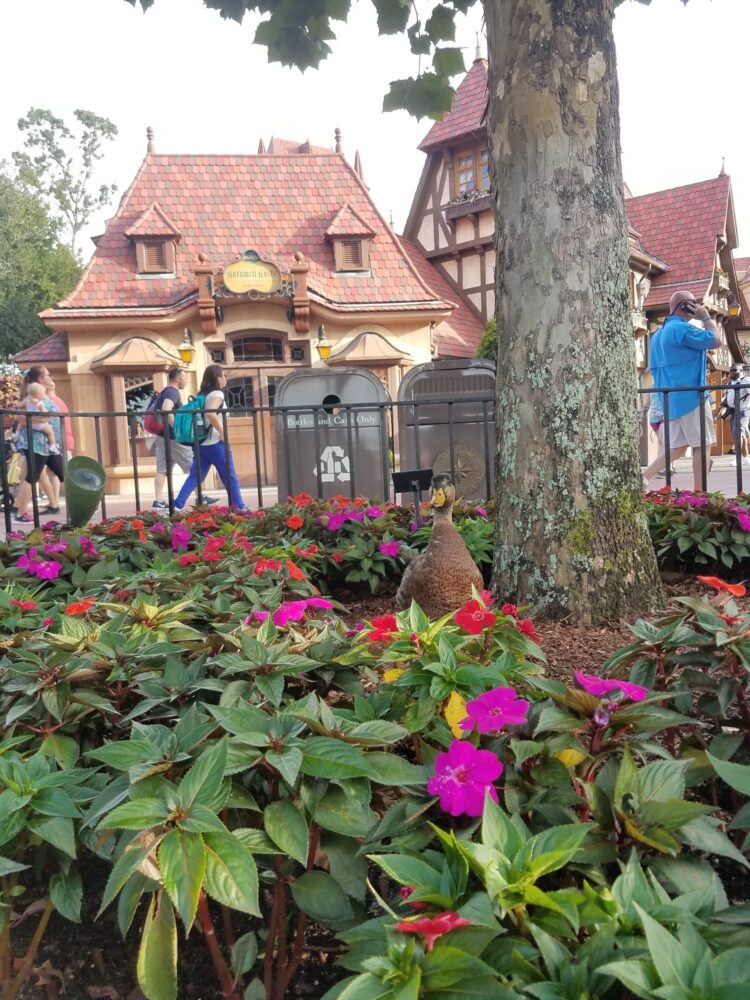 Disney World Main Street - disney for adults