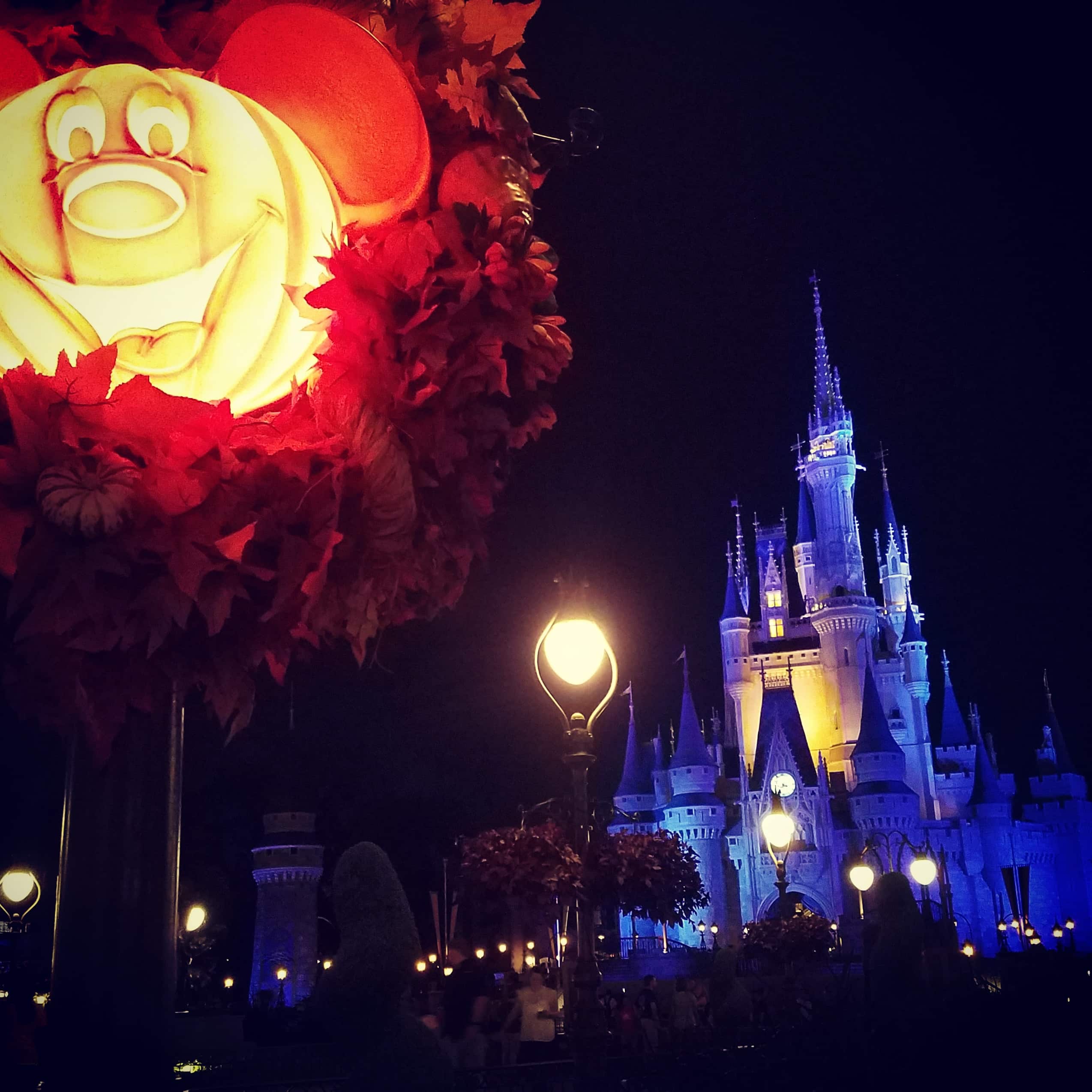 rekindle romance in Disney World