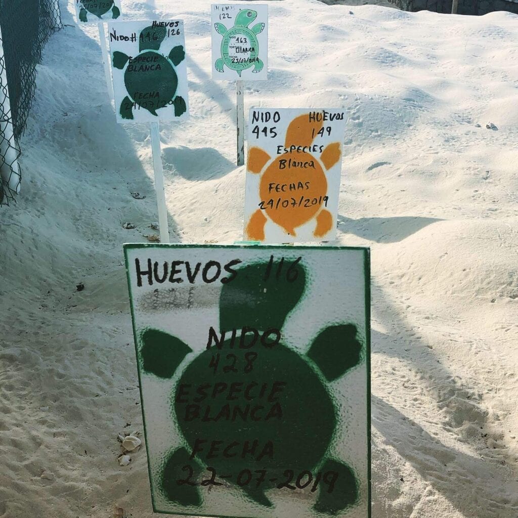 Best Hotel in Cancun for Families