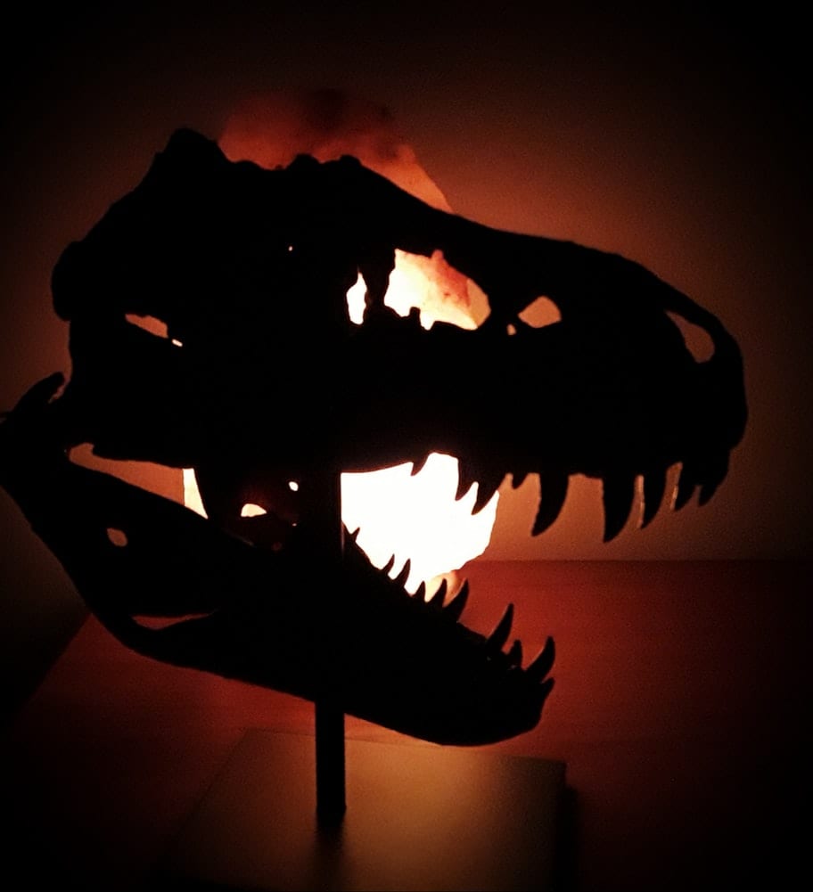 T rex skull - Escape to Kauai With Family