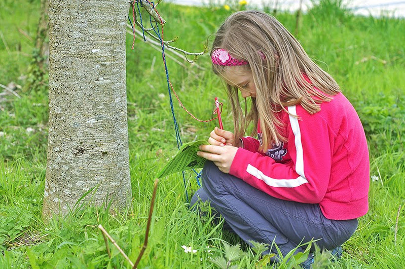 Girl solving puzzle outside - Exploring Celtic Gardens in Galway With Kids