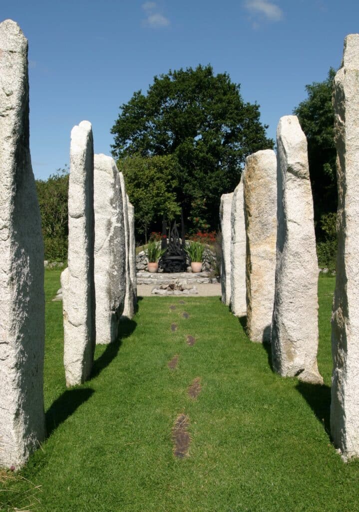 Bogwood Throne - Exploring Celtic Gardens in Galway With Kids