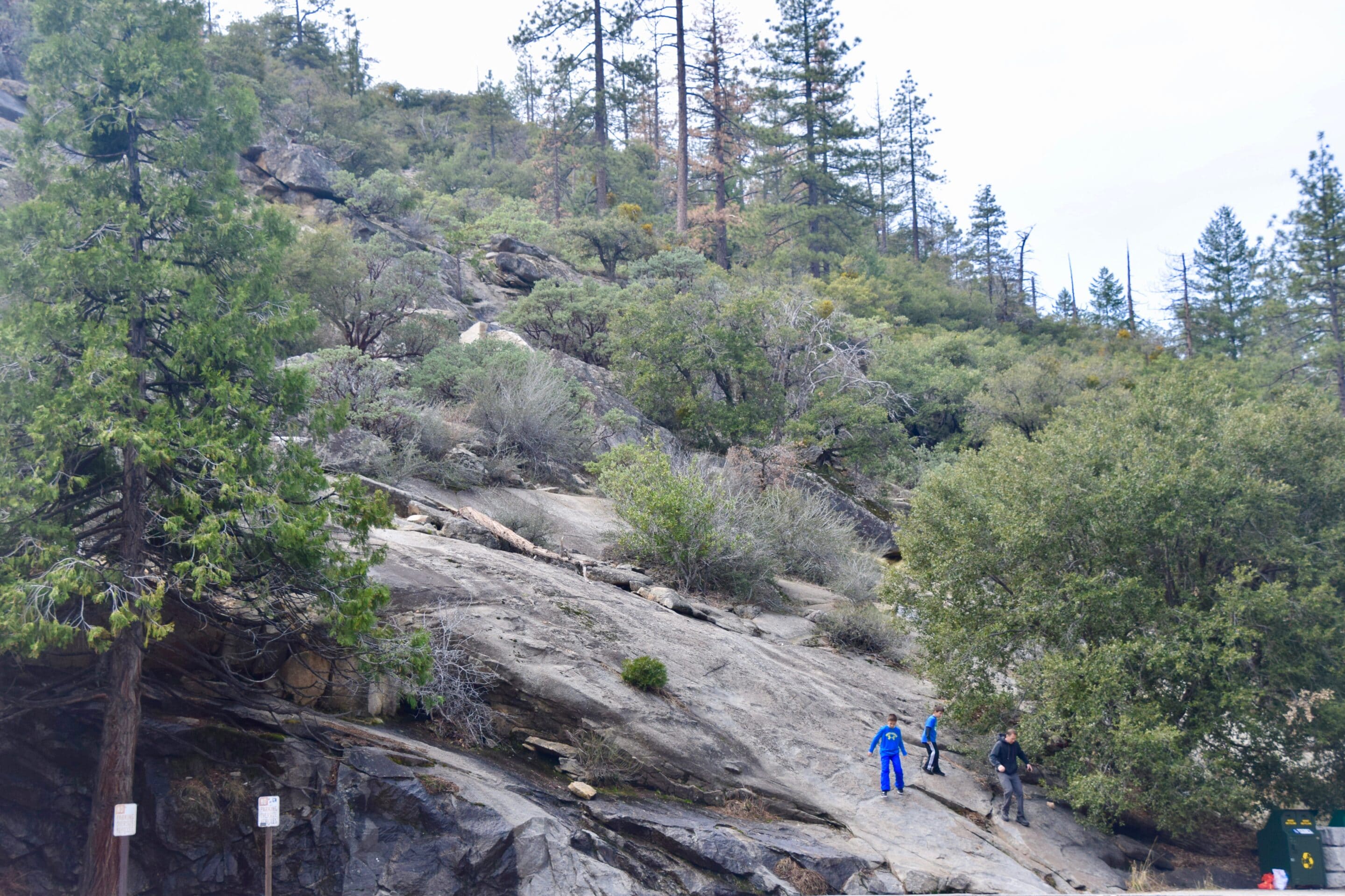 Yosemite - Yosemite National Park with kids at the Tenaya Lodge