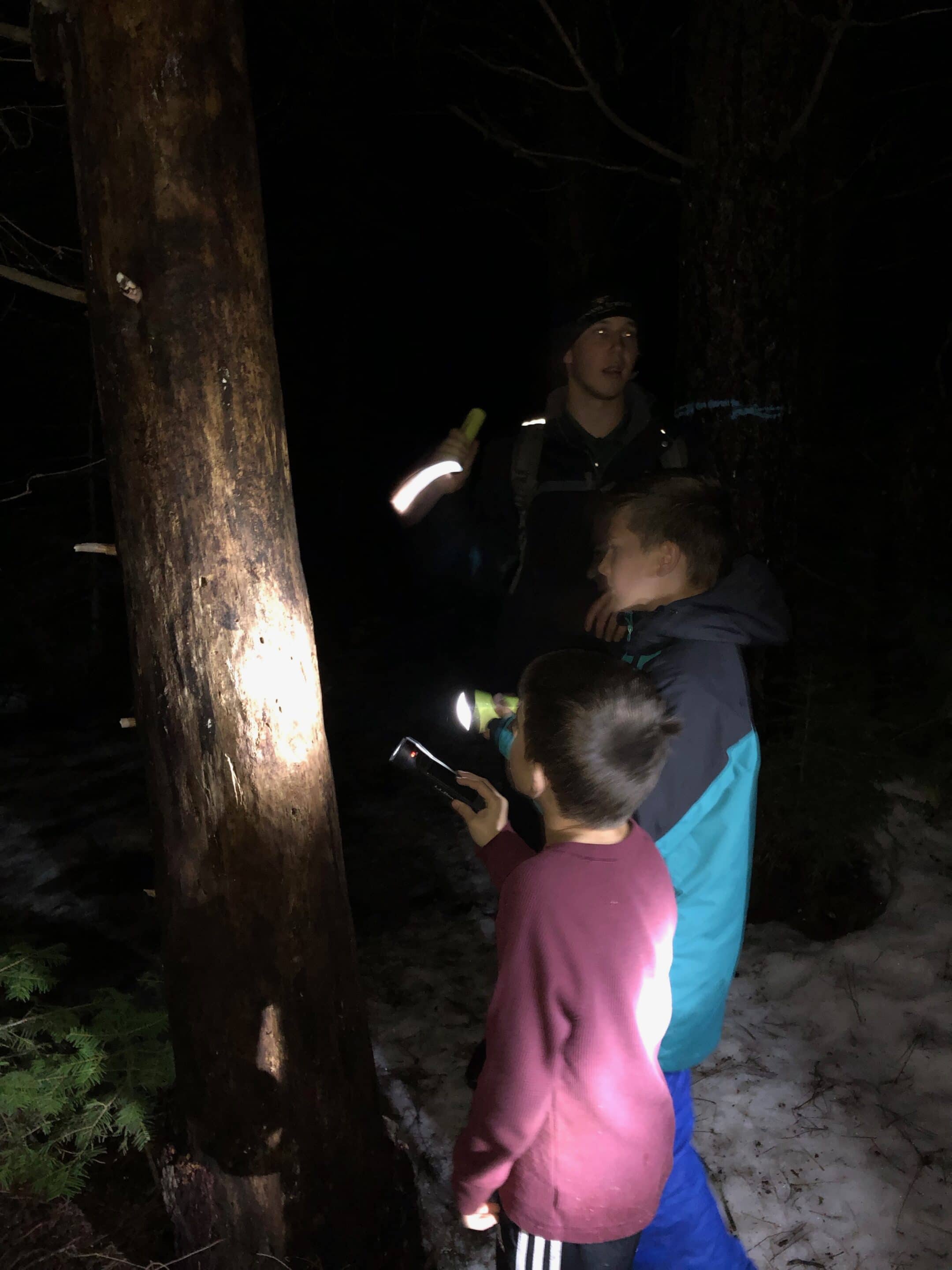 Night hike with Iam pointing to tree - Yosemite National Park with kids at the Tenaya Lodge
