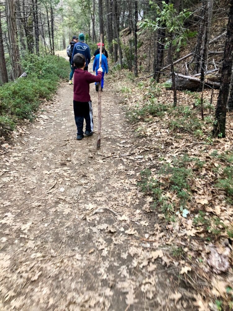 a boy hiking with stick - Yosemite National Park with kids at the Tenaya Lodge