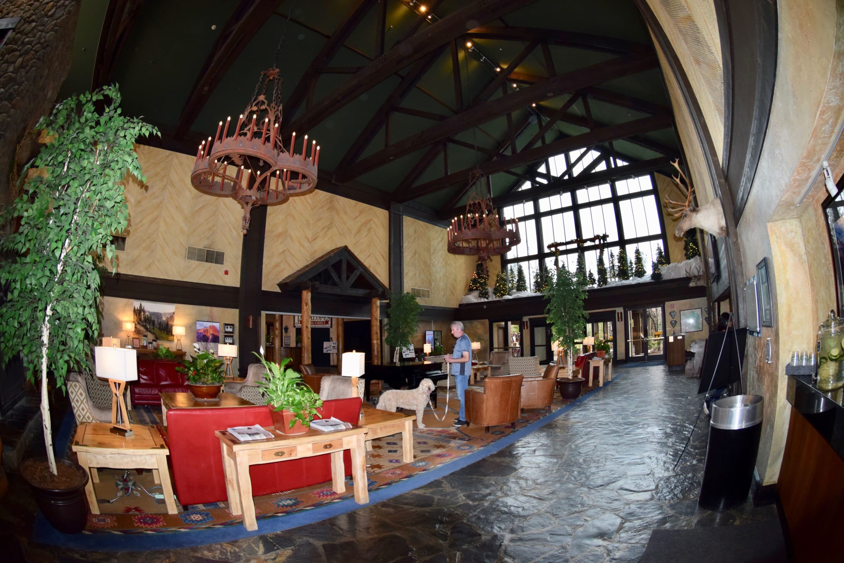 The lobby of Tenaya Lodge Yosemite - Yosemite National Park with kids at the Tenaya Lodge
