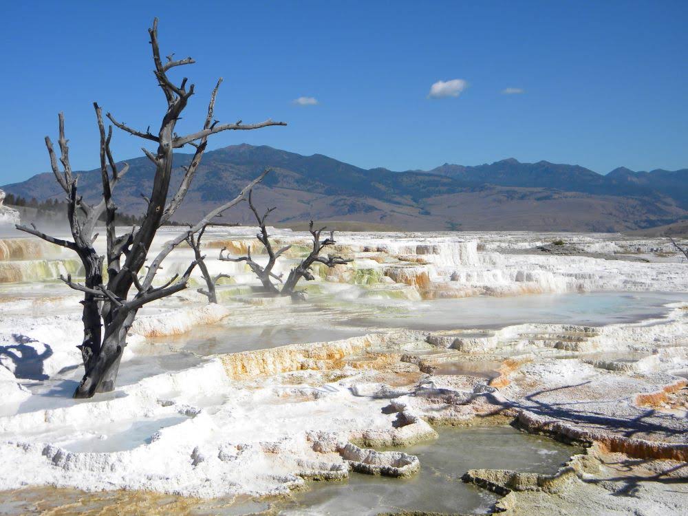 Mammoth Terraces in Yellowstone National Park - (Family) Travel In the Time of Corona