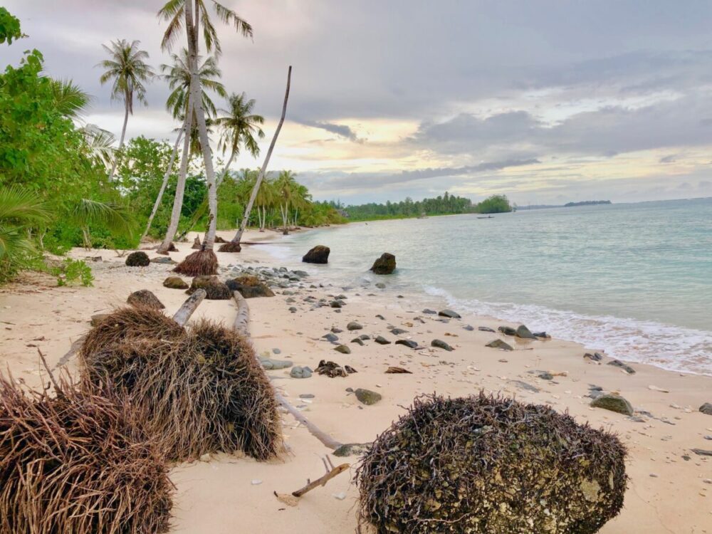 Hidden Bay Resort Mentawais - Surfing Indonesia - The Best Family Surf Trip
