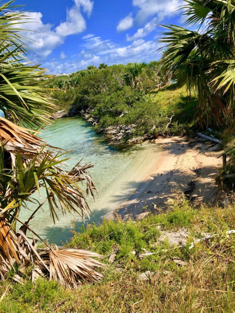 things to do with kids in bermuda