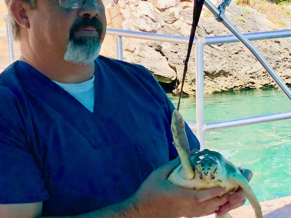 things to do with kids in bermuda