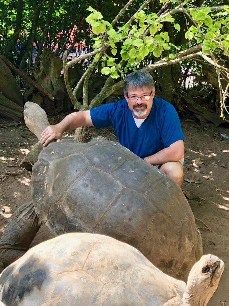 things to do with kids in bermuda