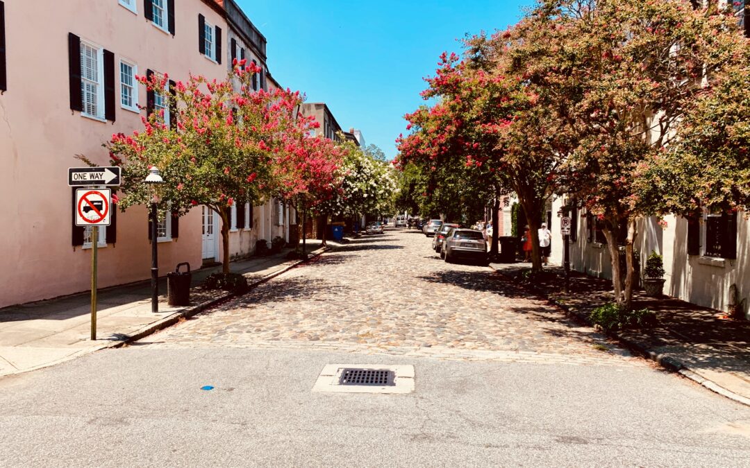 Our 9 Favorite Things To Do in Charleston With Kids