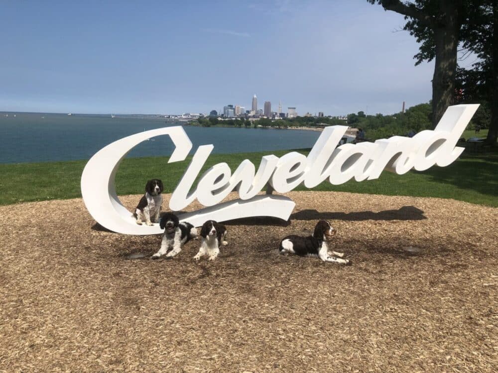 Cleveland, Dogs - Best Lake Erie Beaches for families