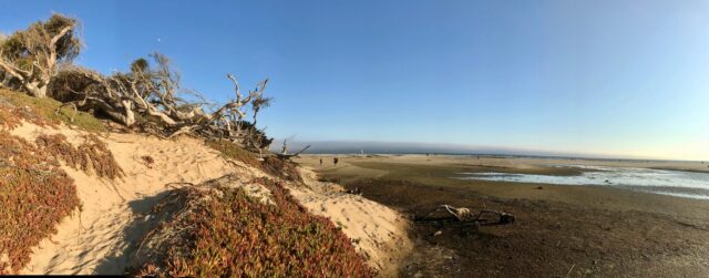 Pismo Coast Village RV Resort