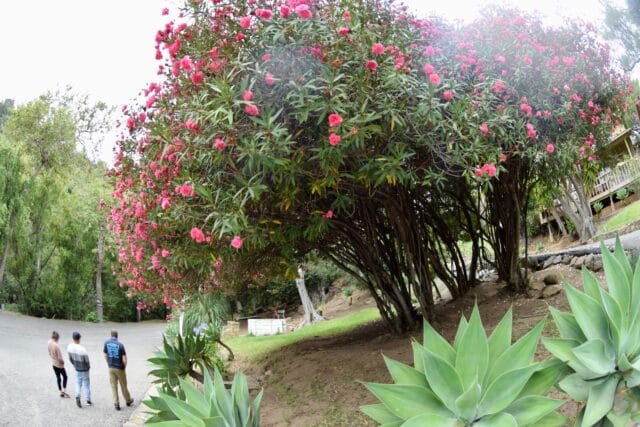 Circle Bar B Guest Ranch