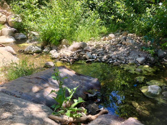 Circle Bar B Guest Ranch