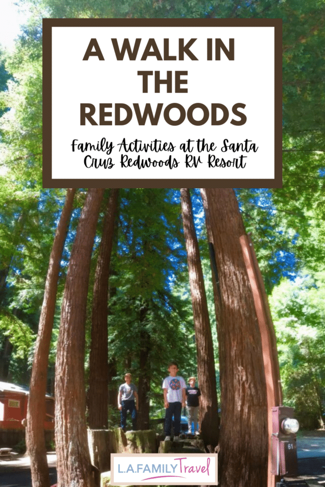 A Camping trip to the Santa Cruz Redwoods RV Resort where the majestic redwoods are your home and state parks are your neighbors. Take a daytrip to Santa Cruz Boardwalk with your kids. Check out the nearby skateparks. A full guide for adventurous families.