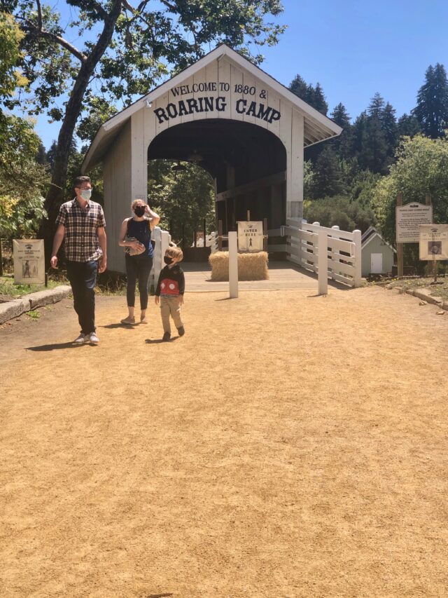 Roaring Camp & Big Tree Train