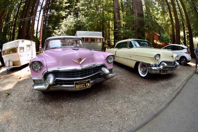 Aristocrats Anonymous at Santa Cruz Redwoods RV Resort