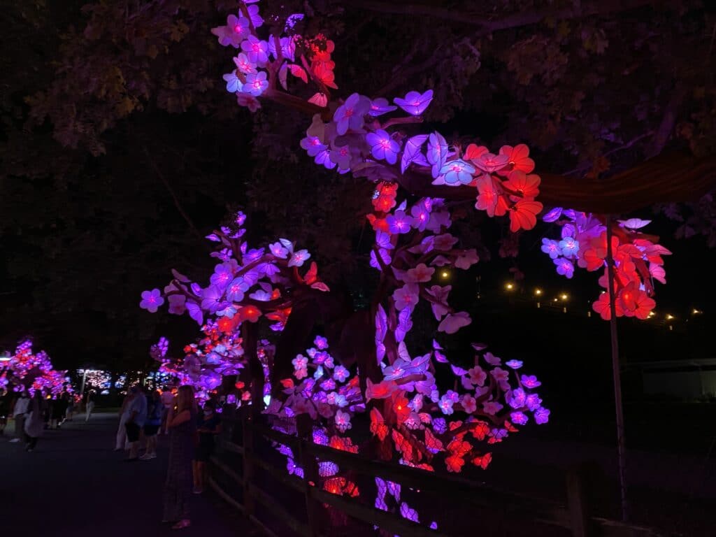 flower lanterns - A Local's Guide to Family Friendly Cleveland