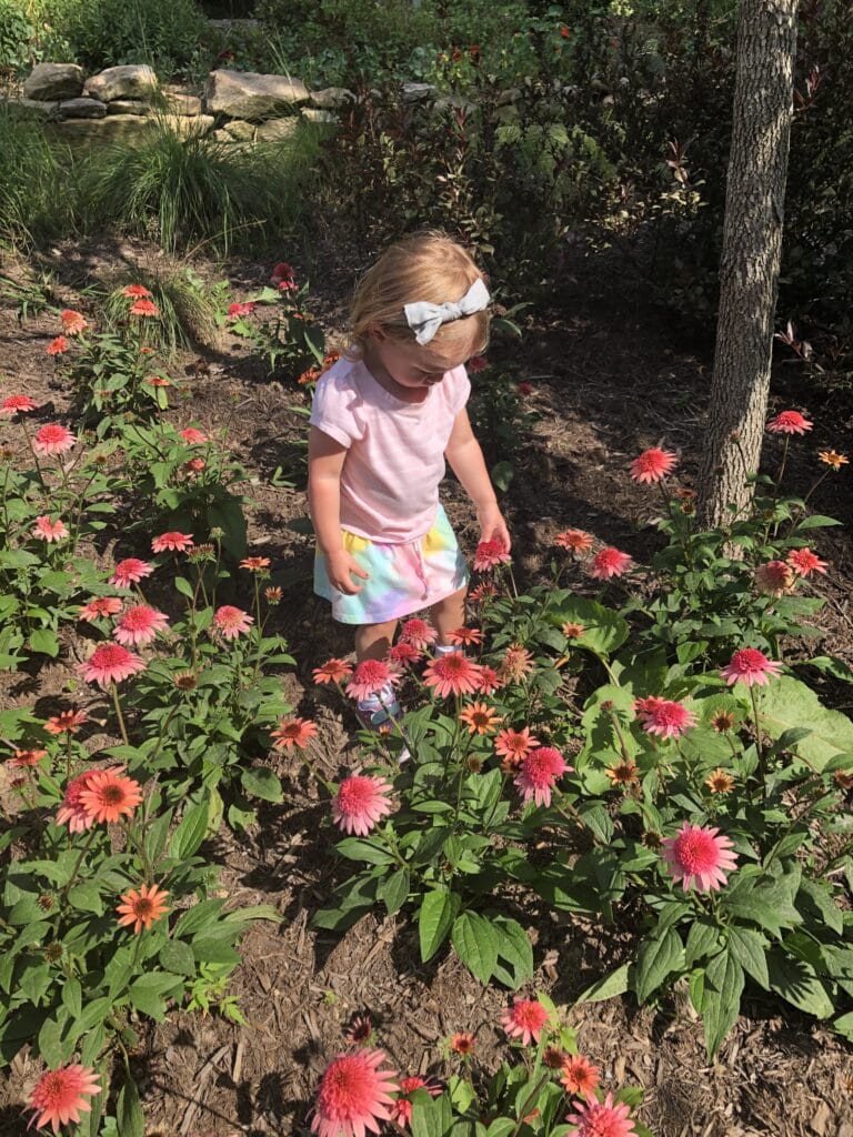 Little girl playing in the flowers - How to Plan a Safe Labor Day Weekend with a Toddler