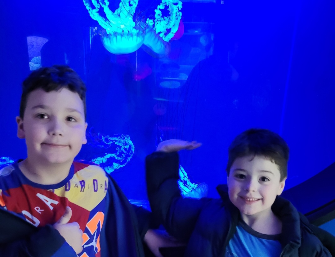 Two boys standing in front of jellyfish display. Things to do in Cleveland, OH with kids. 
