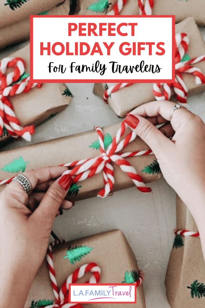 PERFECT HOLIDAY GIFTS for family travelers pin
