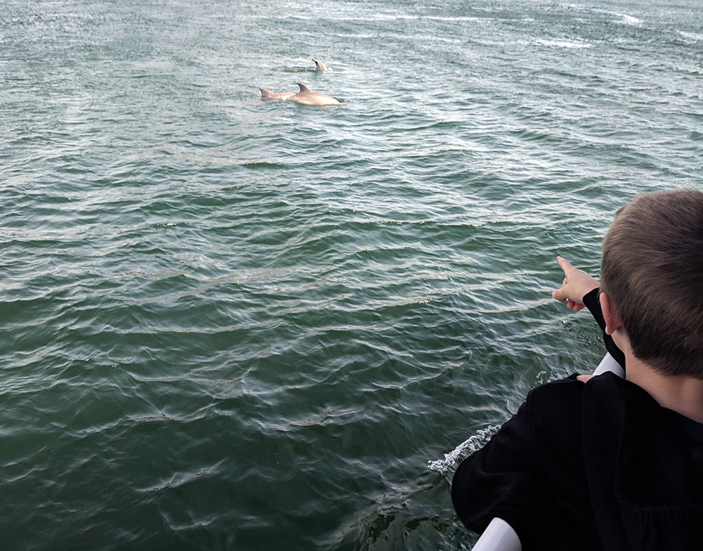Kids seeing Dolphin - Four Spots on the Gulf Coast for A Low-Key Family Vacation