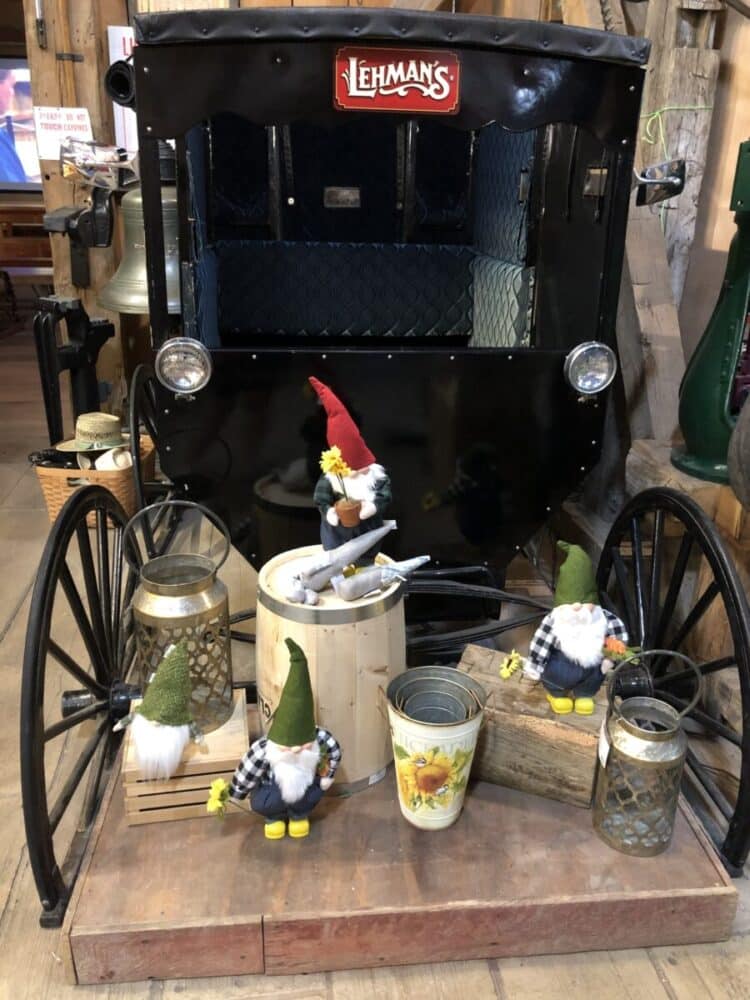 Amish Buggy, Lehmans
