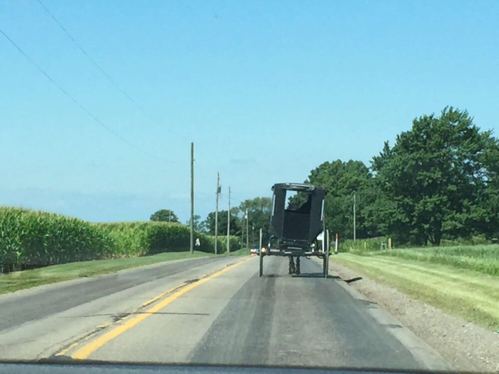 Amish Buggy