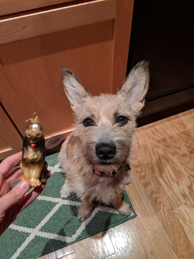 dog and dog ornament