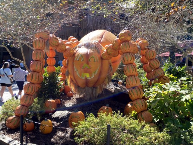 Photo of Spider made of pumpkins