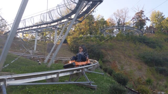 Picture of Alpine Mountain Coaster
