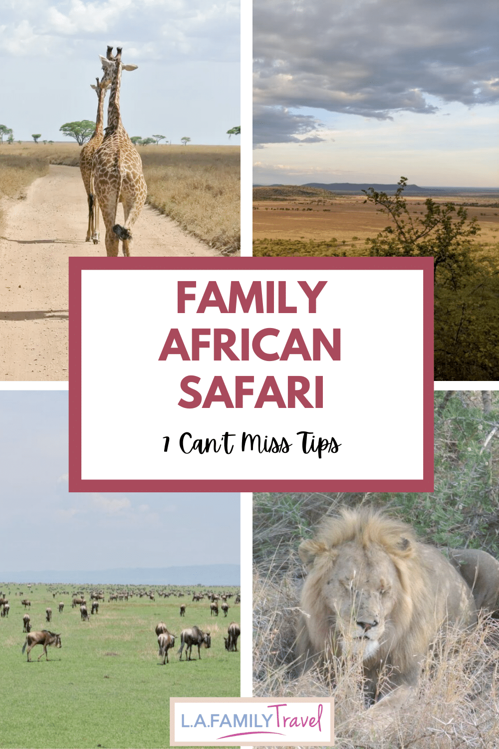 7 Can't Miss Tips For Your Family African Safari