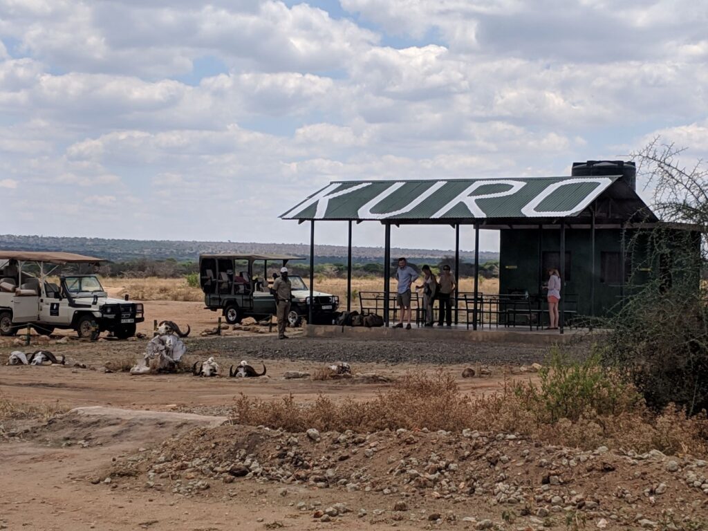 airport in serengeti - 7 Can't Miss Tips For Your Family African Safari