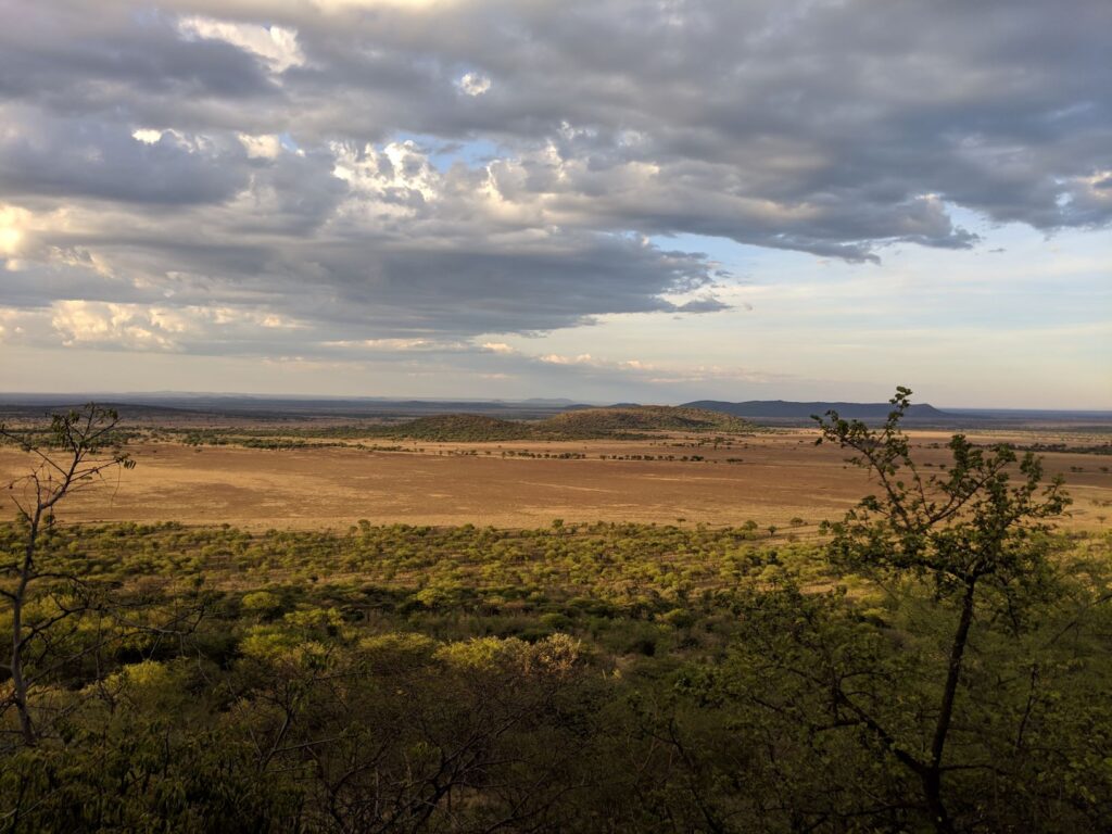 serengeti national park - 7 Can't Miss Tips For Your Family African Safari