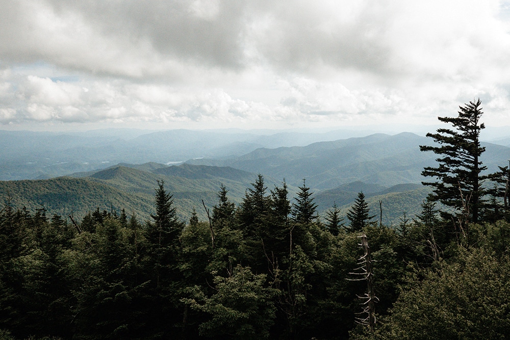 5 Best Things To Do On A Family Vacation To The Great Smoky Mountains